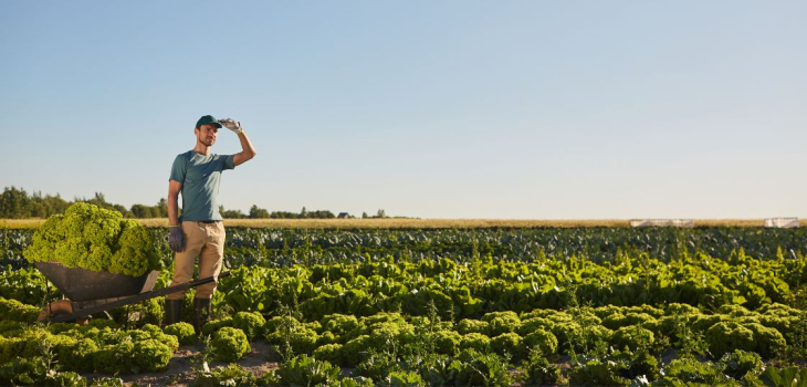 Operai agricoli e florovivaisti di Bergamo, rinnovato il contratto provinciale. “Per i 6.000 addetti finalmente aumenti salariali”